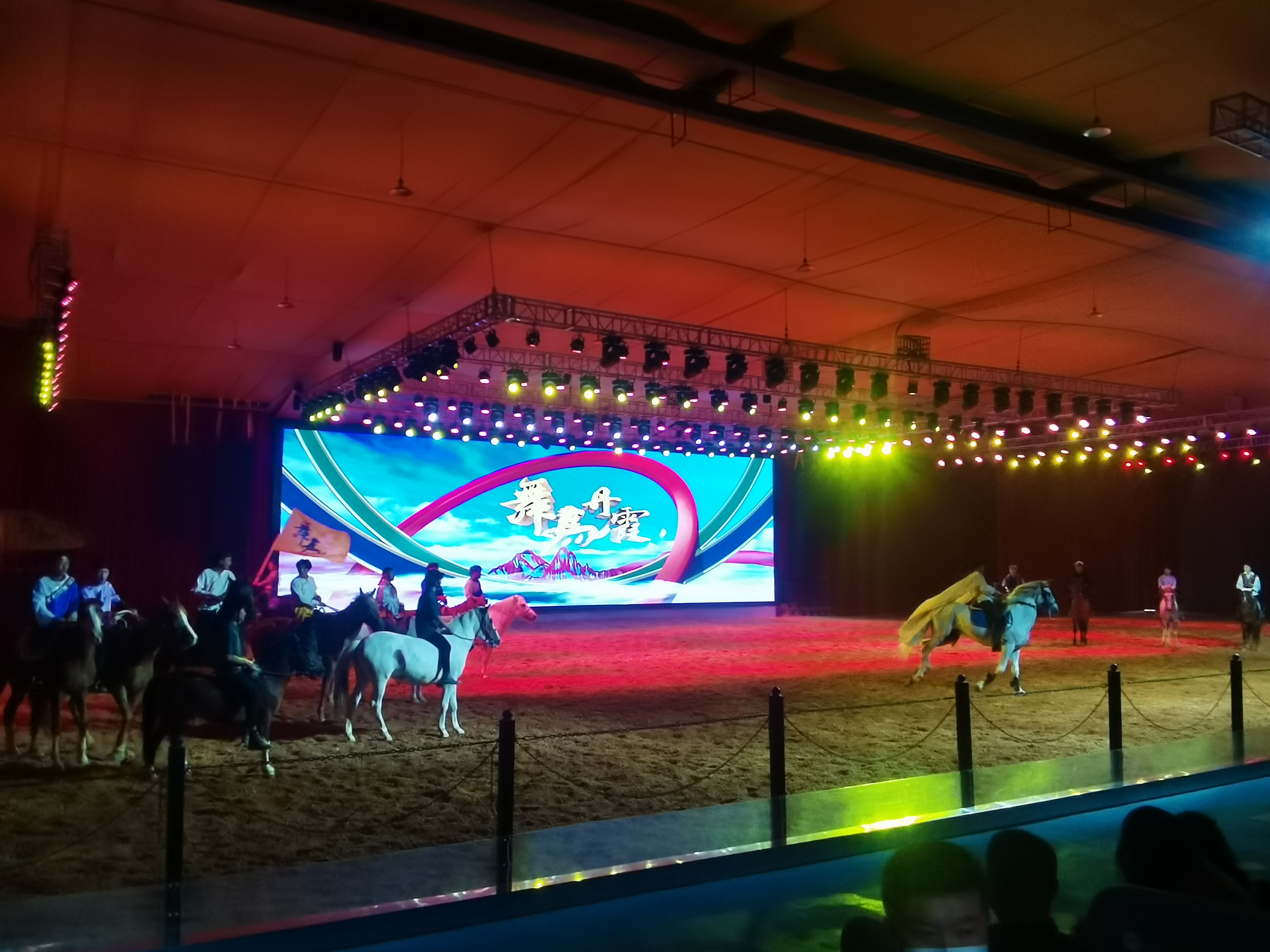 舞马丹霞表演 舞马丹霞表演